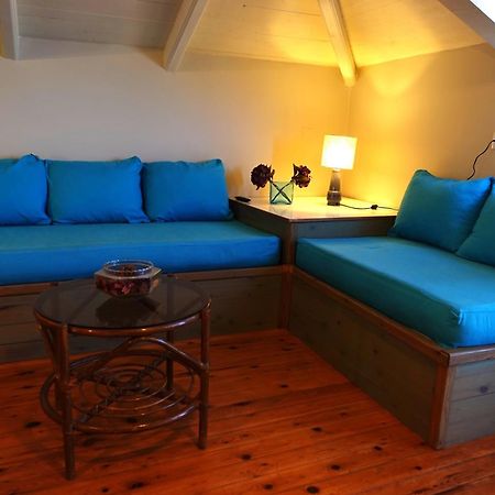 Lithari Penthouse Διαμέρισμα Αλυκανάς Εξωτερικό φωτογραφία