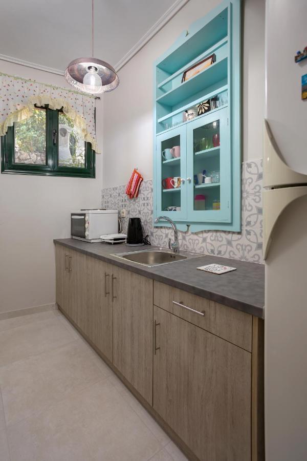Lithari Penthouse Διαμέρισμα Αλυκανάς Εξωτερικό φωτογραφία
