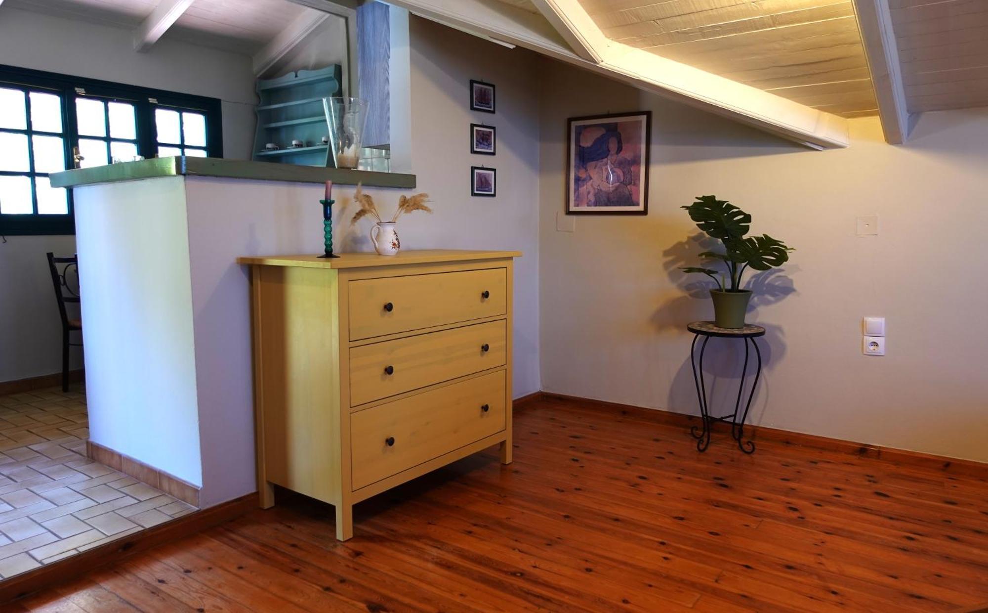 Lithari Penthouse Διαμέρισμα Αλυκανάς Εξωτερικό φωτογραφία